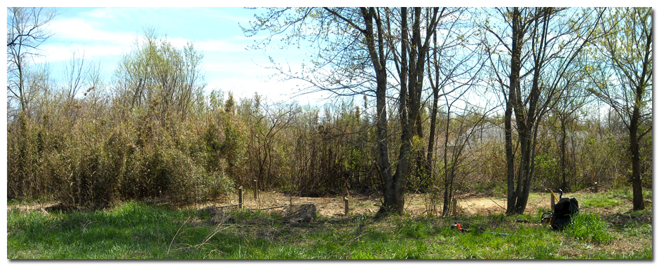 4102010_shed3 BMF Land Prep
