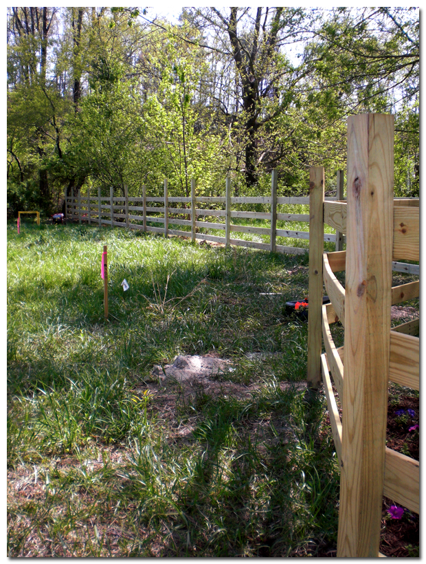 4172010_fence BMF Land Prep