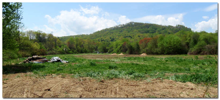 4172010_fieldclearing2 BMF Land Prep
