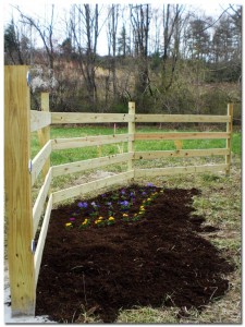 BMF Land Prep