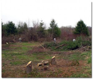 BMF Land Prep
