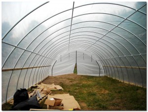 5102010_insidegreenhouse BMF Land Prep