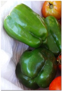 91510_green peppers BMF First Year